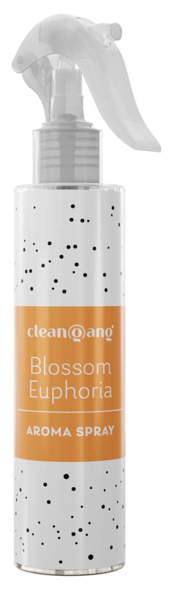 Cleangang Odświeżacz do pomieszczeń Blossom Euphoria 250 ml