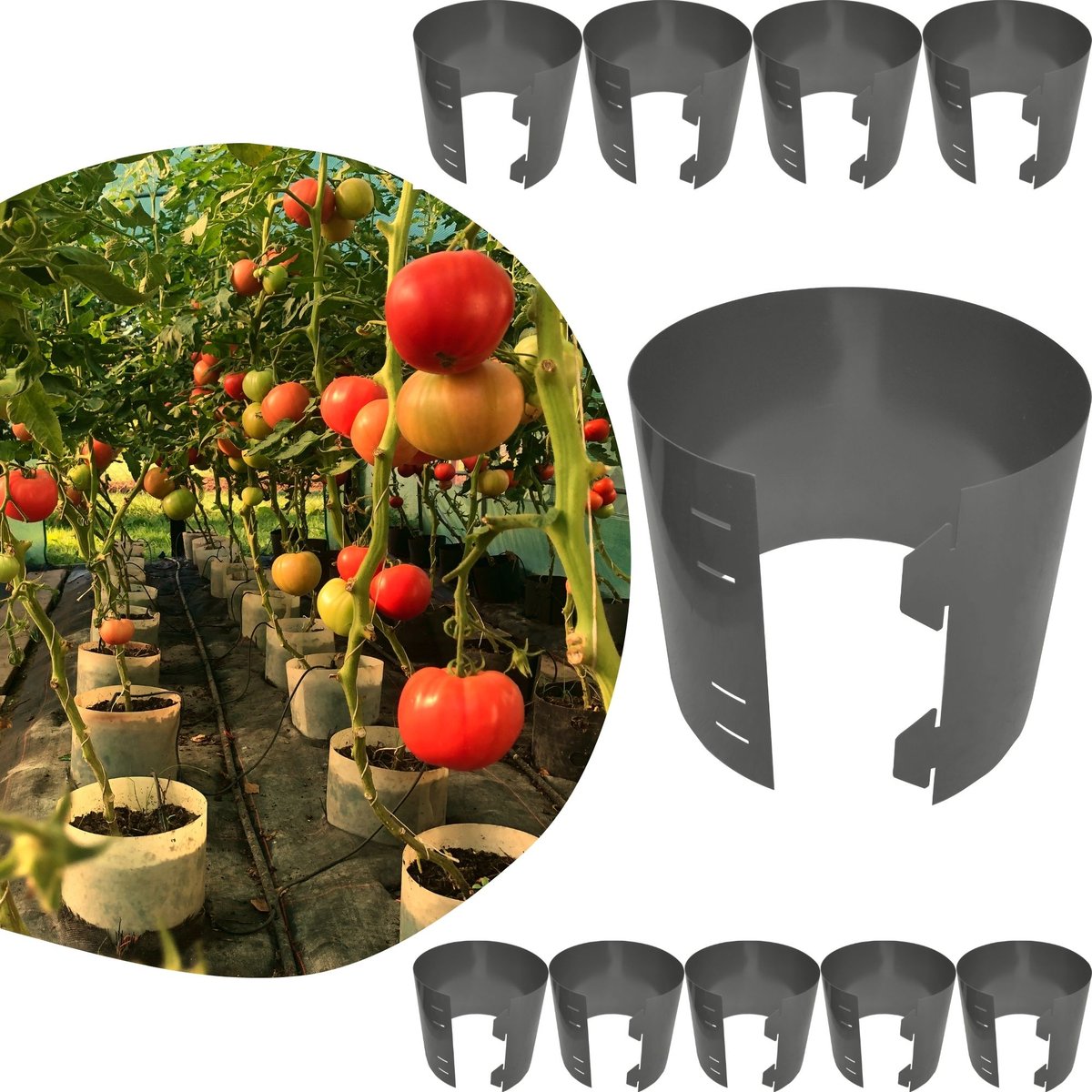 Doniczki / Cylindry spinane do uprawy pomidorów 10 szt.