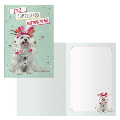 DOHE - Kartki z życzeniami urodzinowymi - Pakiet 6 sztuk - Rozmiar: 11,5x17 cm (zamknięte) - W zestawie koperta do przechowywania karty - Model Doggy