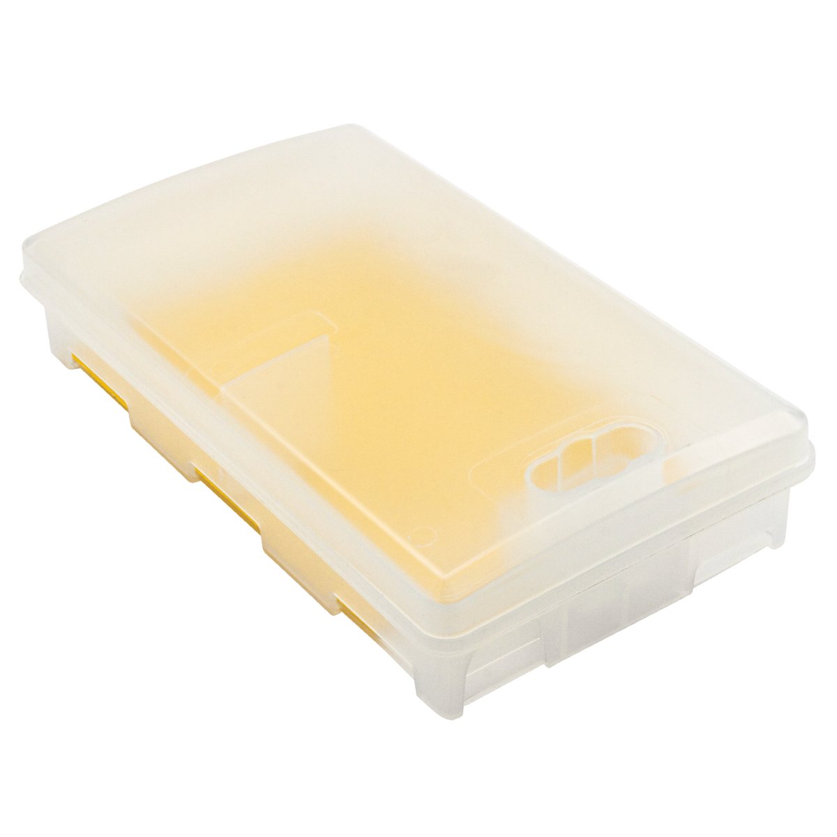 VACO PROFESSIONAL Mouse&Insect Box - Lep na myszy i insekty - 1 szt.