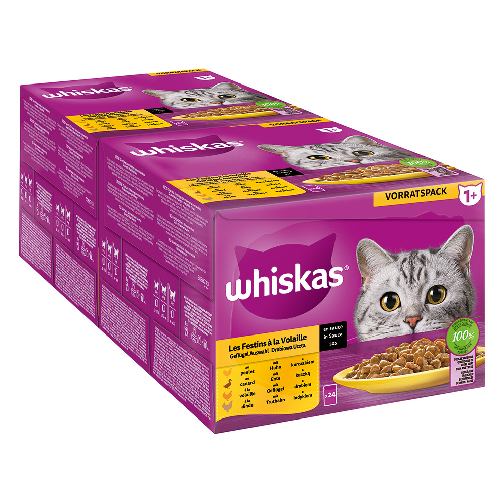 Pakiet Whiskas 1+ Adult, saszetki, 48 x 85 g - Wybór dań drobiowych w sosie
