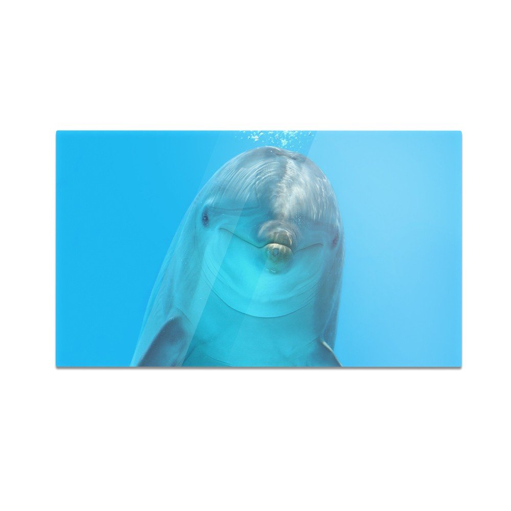 Szklana deska do krojenia HOMEPRINT Delfin 60x52 cm