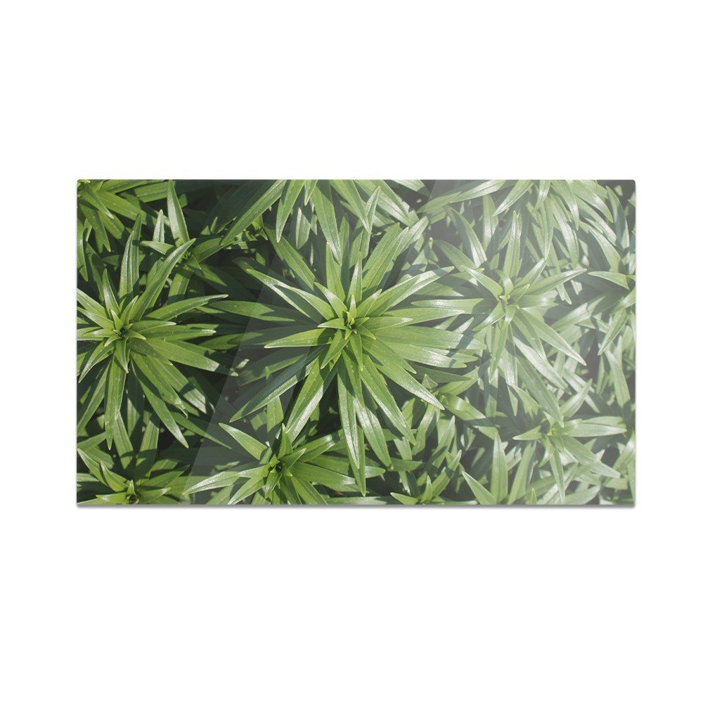 Szklana deska do krojenia HOMEPRINT Tropikalne liście 60x52 cm