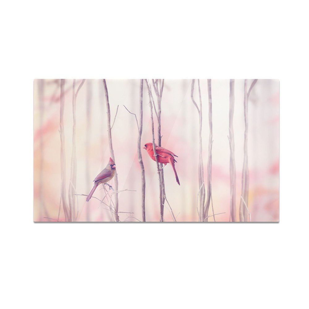 Szklana deska do krojenia HOMEPRINT Ptak kardynał 60x52 cm