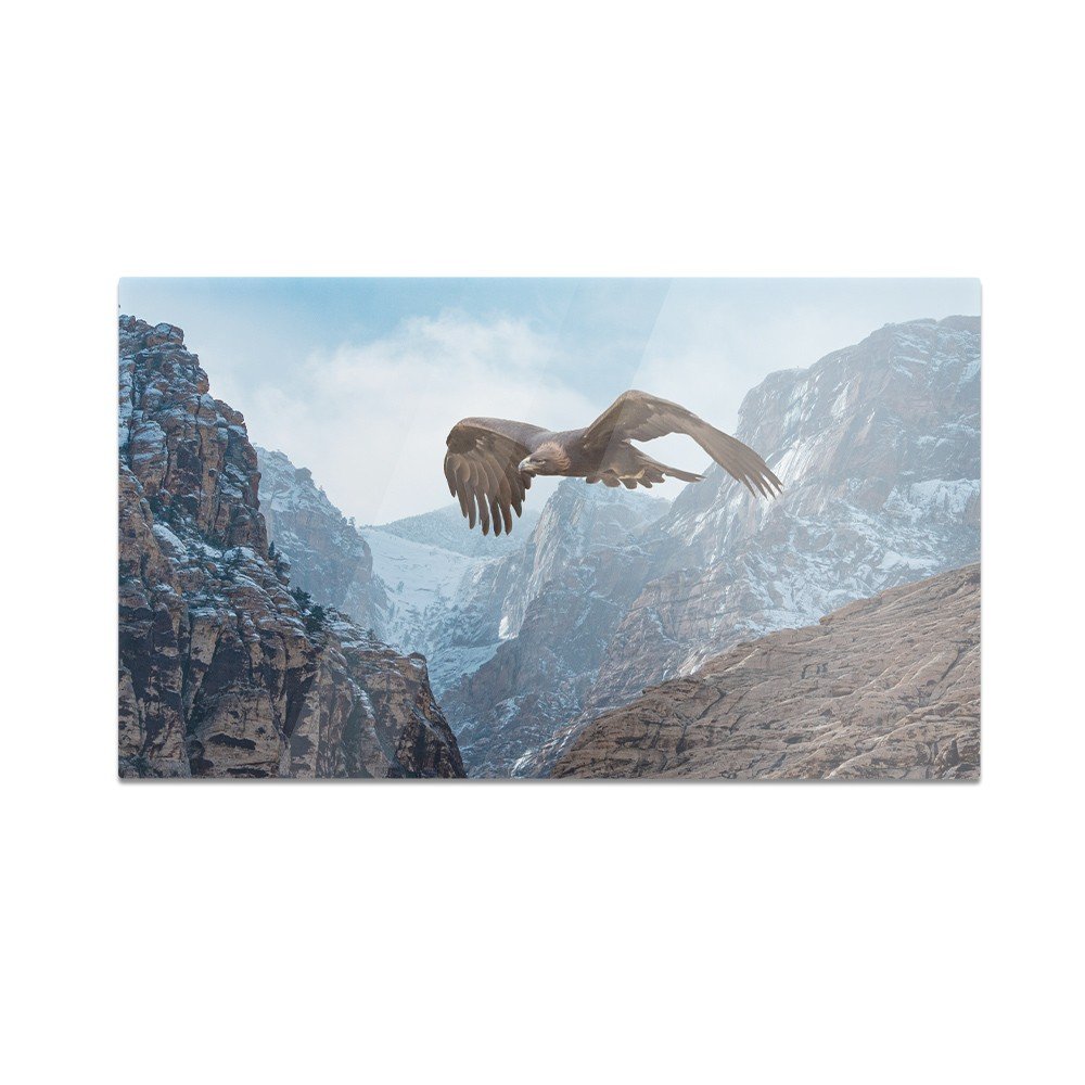 Szklana deska do krojenia HOMEPRINT Orzeł w locie 60x52 cm