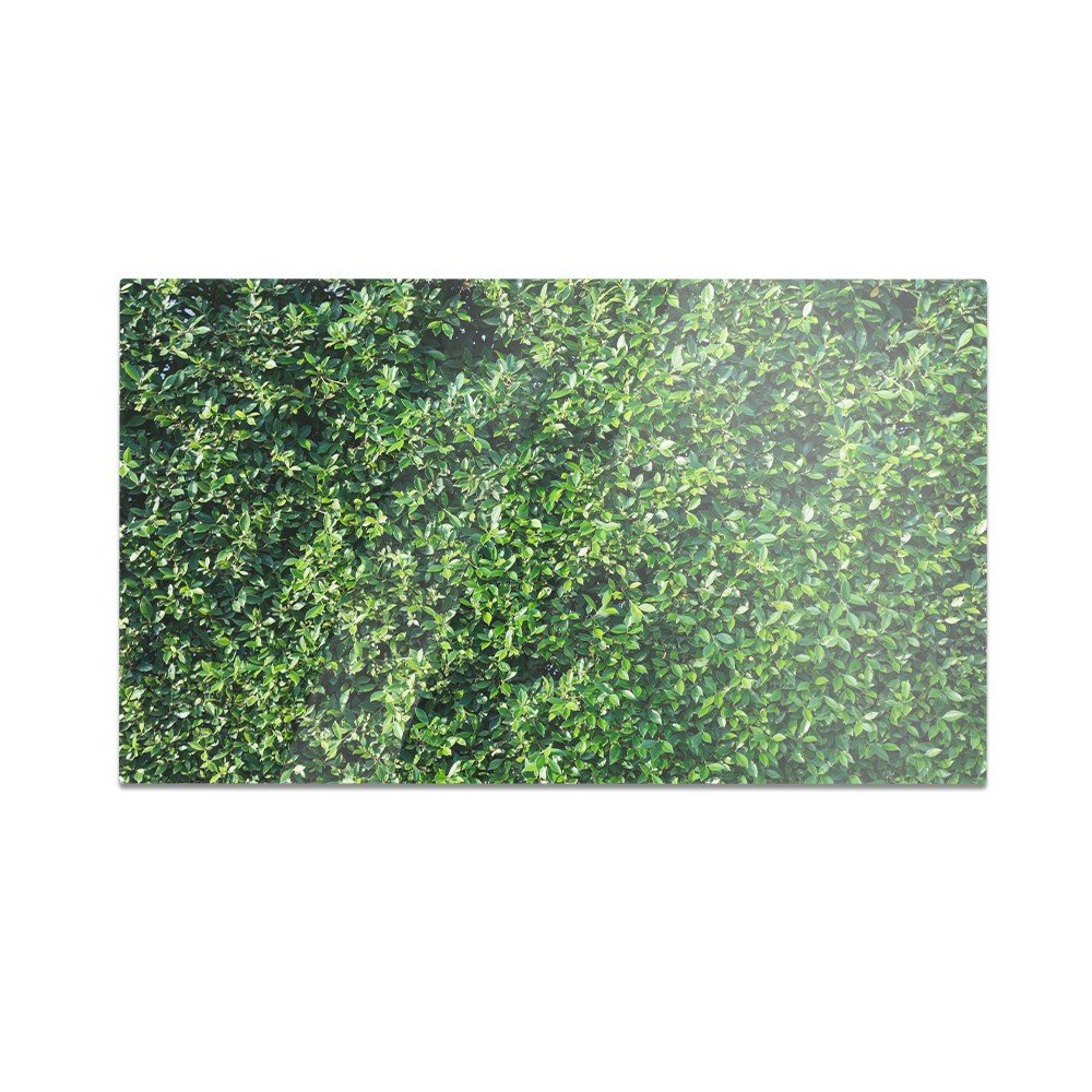 Szklana deska do krojenia HOMEPRINT Ściana drzewa figowego 60x52 cm