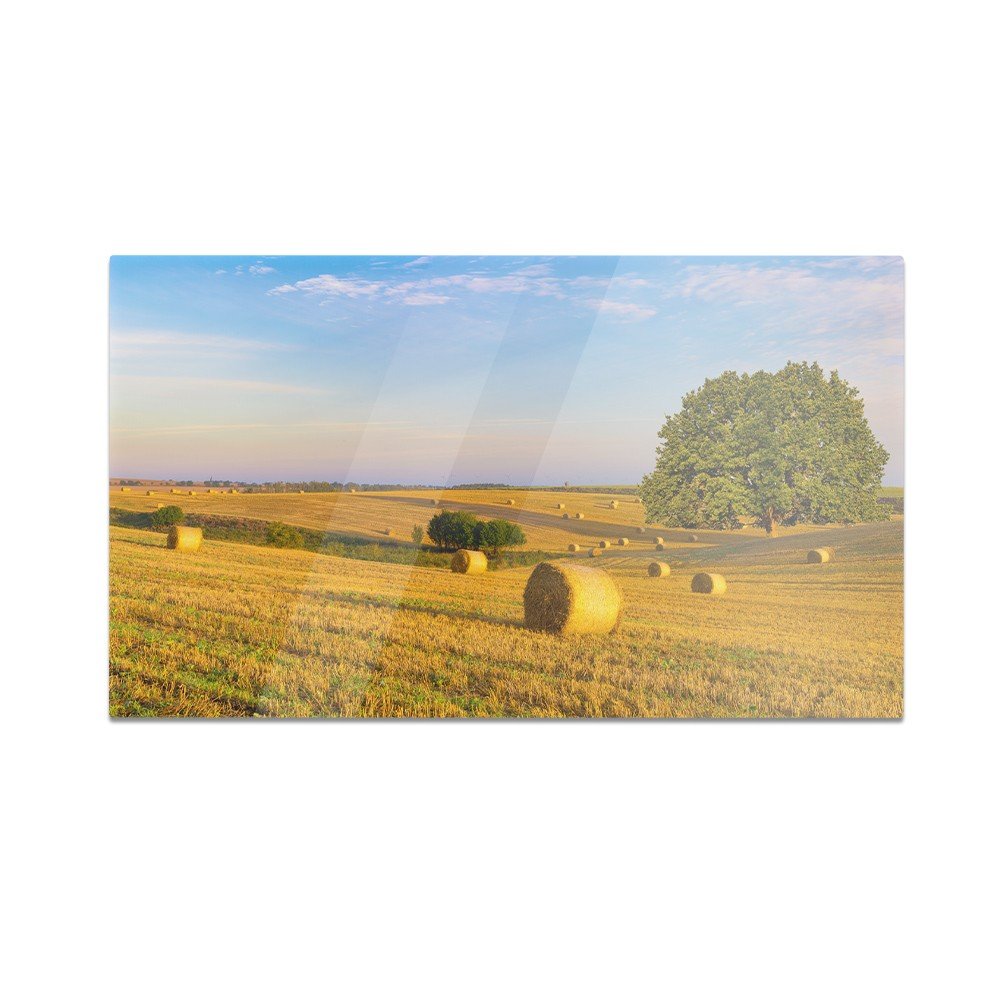 Szklana deska do krojenia HOMEPRINT Zachód słońca na polu 60x52 cm