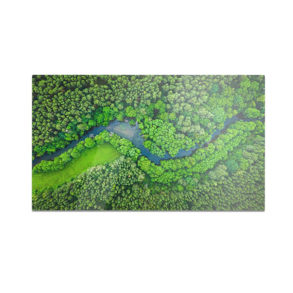 Szklana deska do krojenia HOMEPRINT Parku przyrody Tuchola 60x52 cm