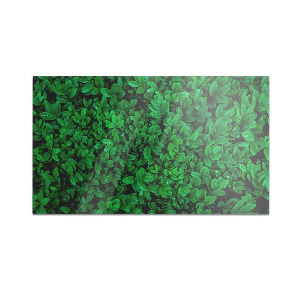 Szklana deska do krojenia HOMEPRINT Abstrakcyjne zielone liście 60x52 cm