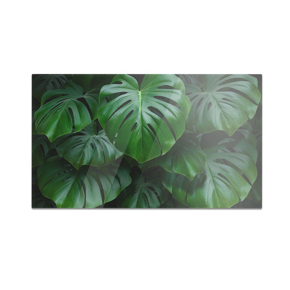 Szklana deska do krojenia HOMEPRINT Duże liście monstera 60x52 cm