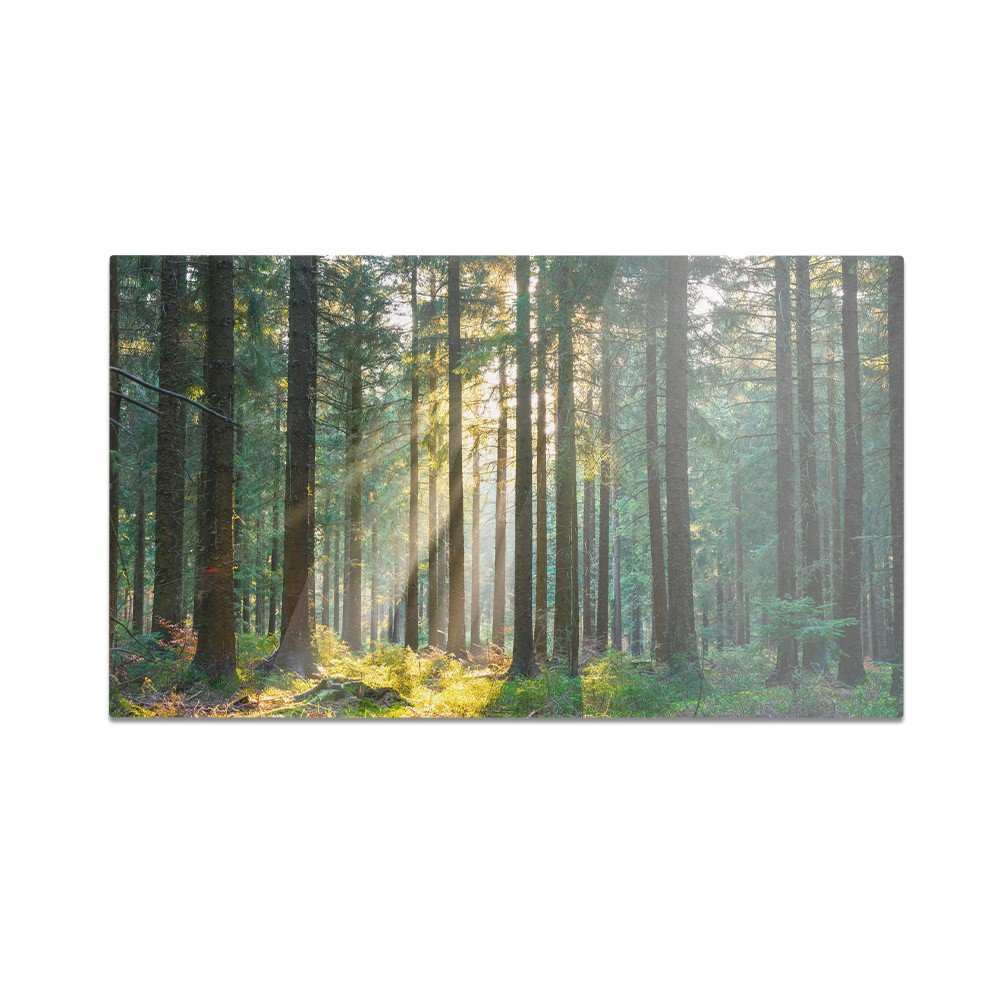 Szklana deska do krojenia HOMEPRINT Promienie słońca w lesie 60x52 cm