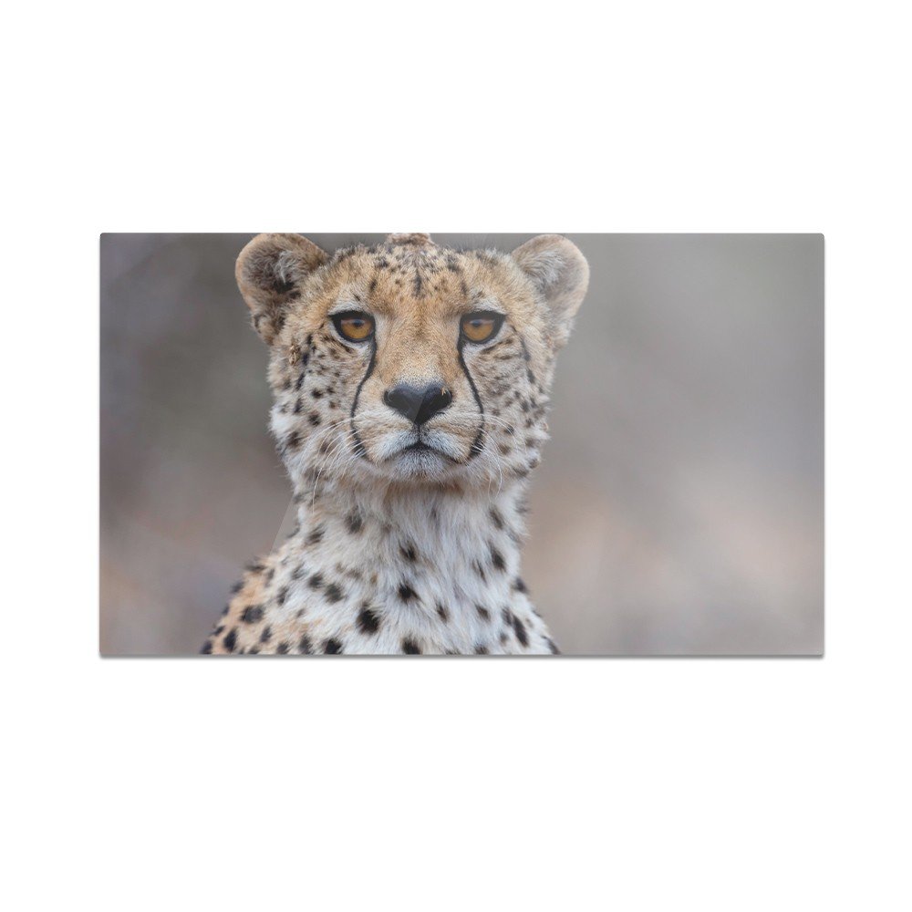 Szklana deska do krojenia HOMEPRINT Gepard 60x52 cm