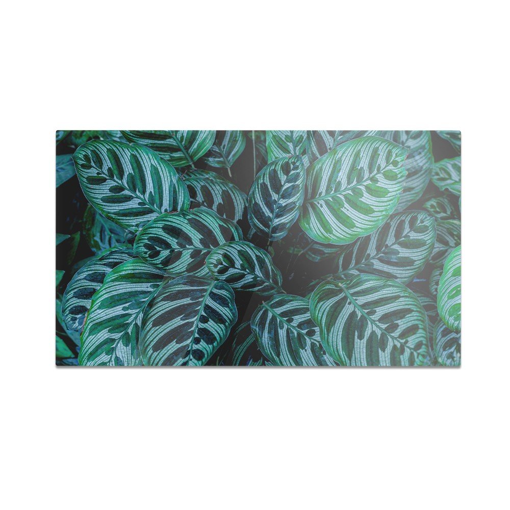 Szklana deska do krojenia HOMEPRINT Liście z ciekawą teksturą 60x52 cm