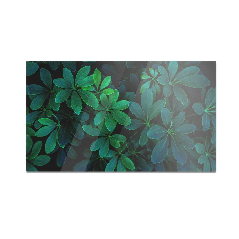 Szklana deska do krojenia HOMEPRINT Szeflera drzewkowata 60x52 cm