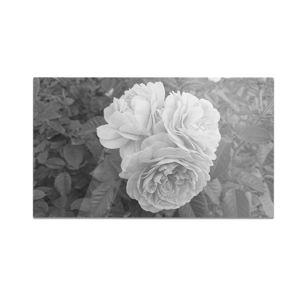 Szklana deska do krojenia HOMEPRINT Róże na tle liści 60x52 cm
