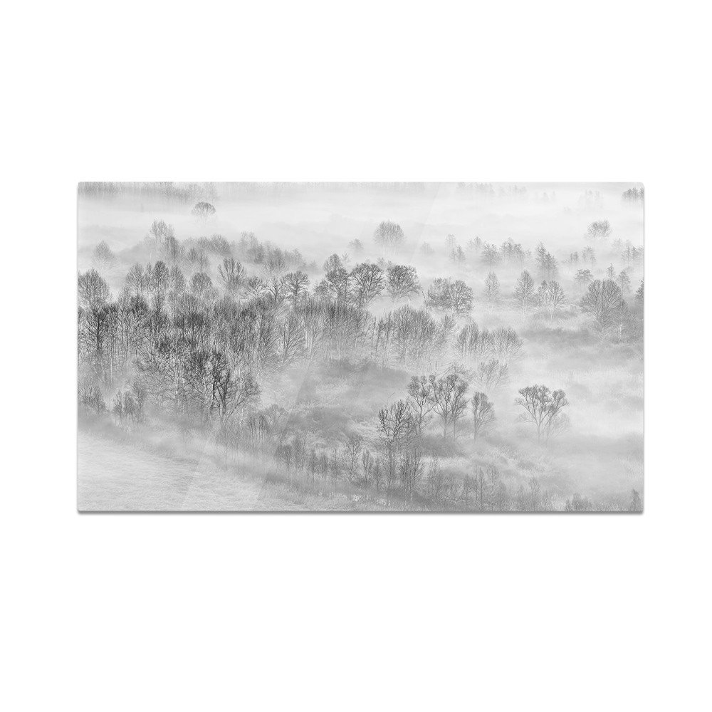 Szklana deska kuchenna HOMEPRINT Las we mgle o poranku 60x52 cm