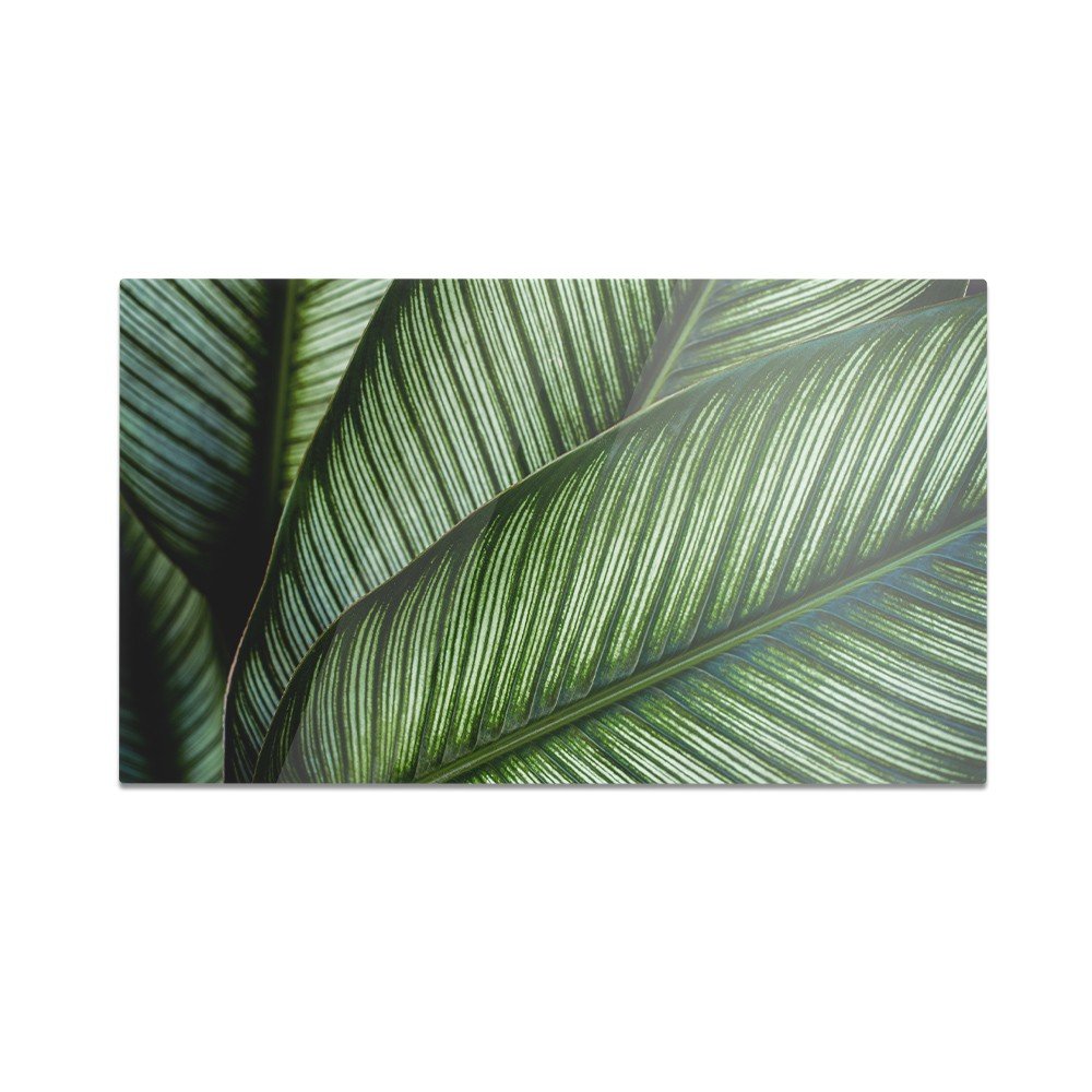 Szklana deska kuchenna HOMEPRINT Liść tekstura 60x52 cm