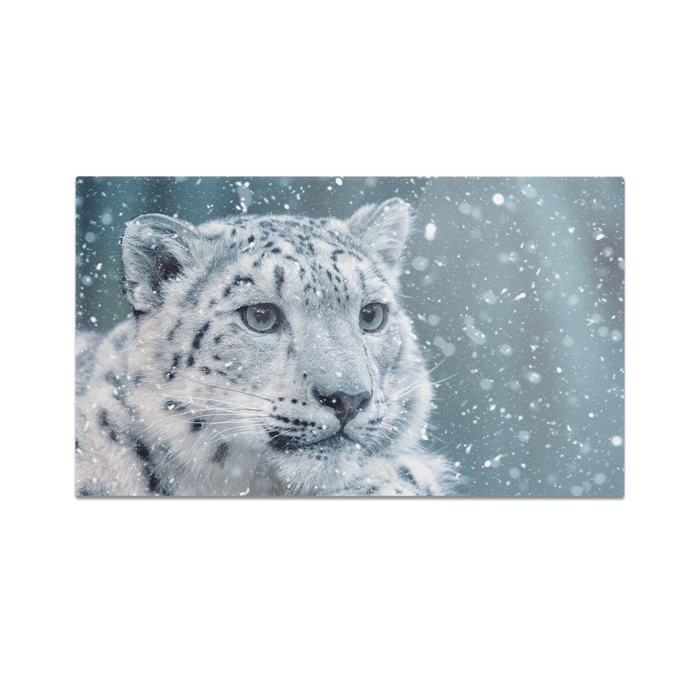 Szklana deska kuchenna HOMEPRINT Lampart śnieżny 60x52 cm