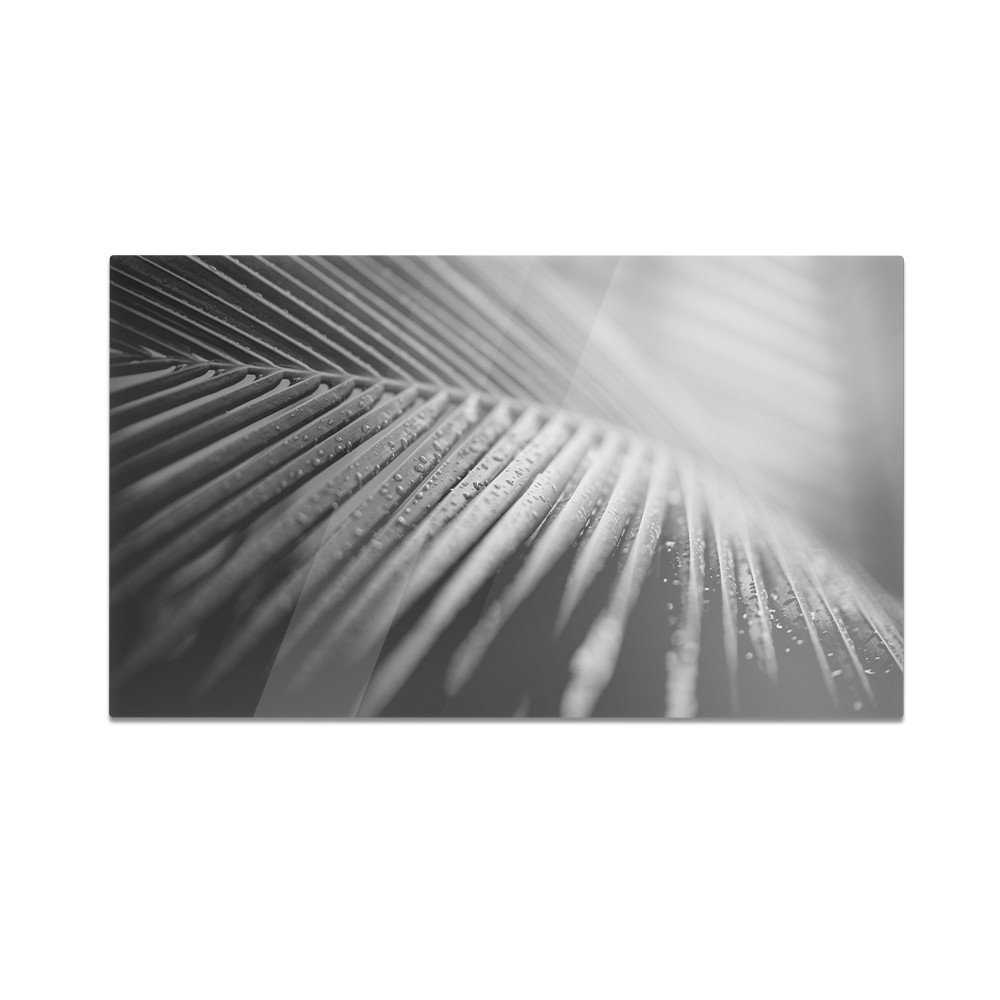 Szklana deska kuchenna HOMEPRINT Zbliżenie na liść palmy 60x52 cm