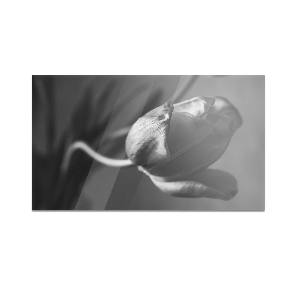 Szklana deska kuchenna HOMEPRINT Monochromatyczny tulipan 60x52 cm
