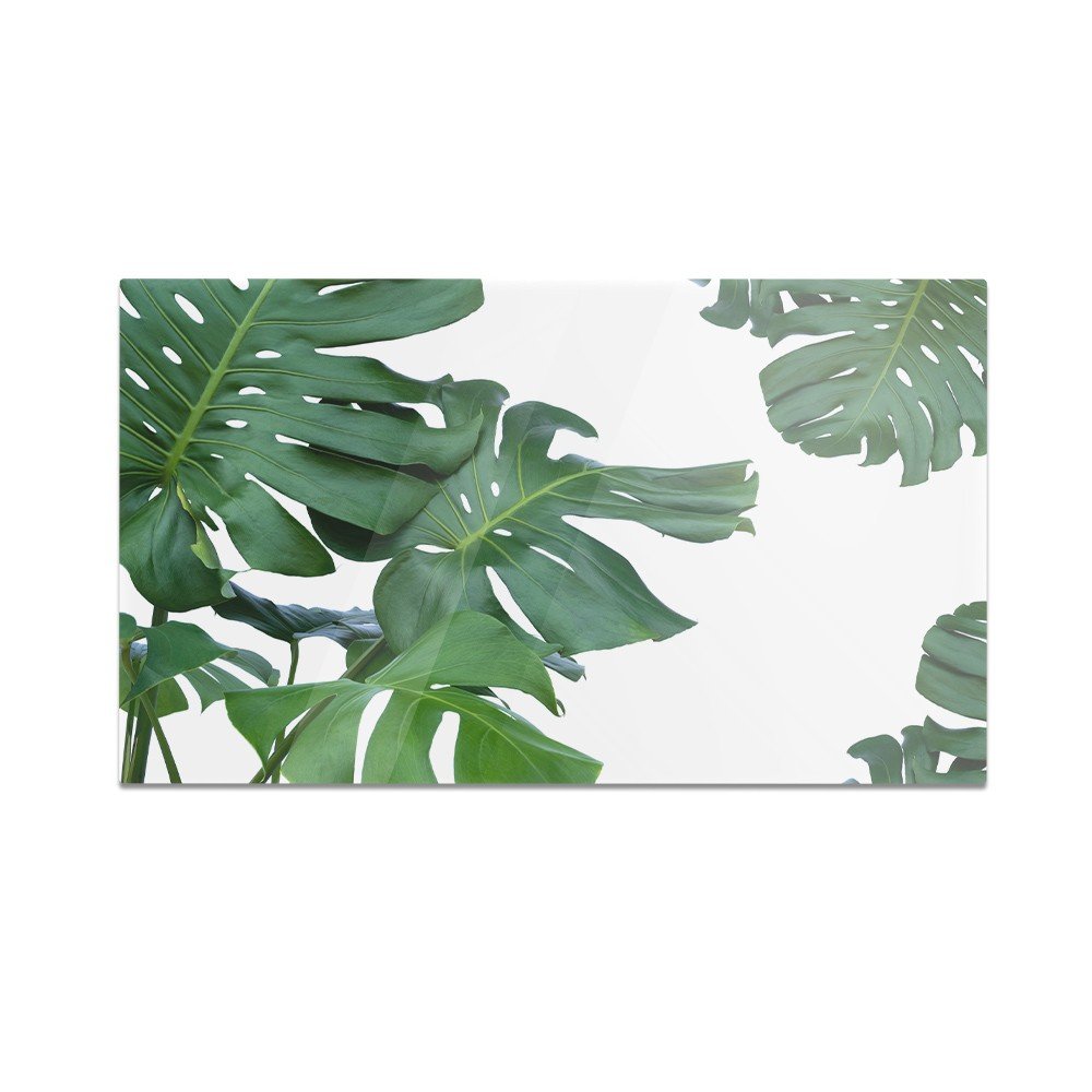 Szklana deska kuchenna HOMEPRINT Zielone liście monstera 60x52 cm