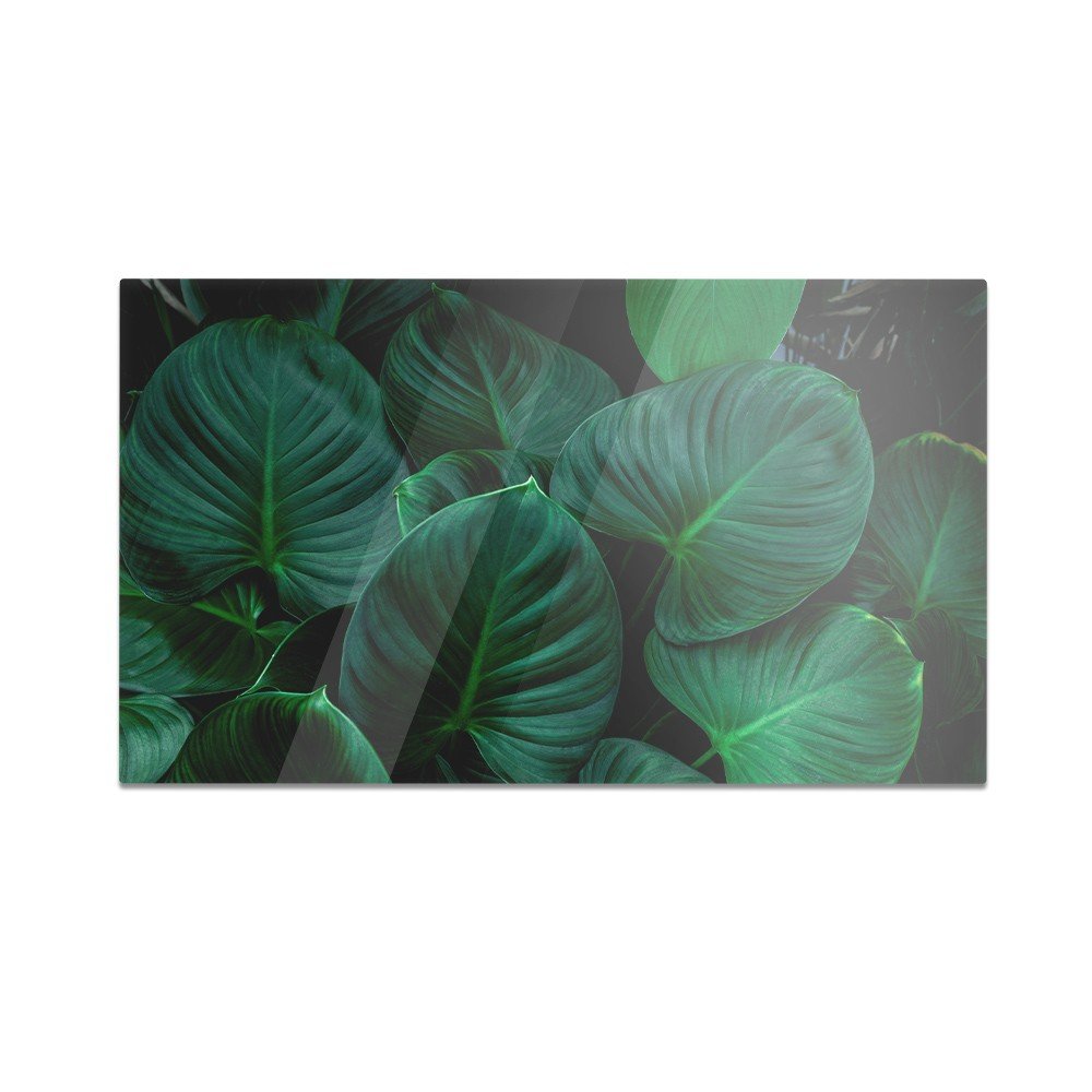Szklana deska kuchenna HOMEPRINT Duże zielone liście 60x52 cm