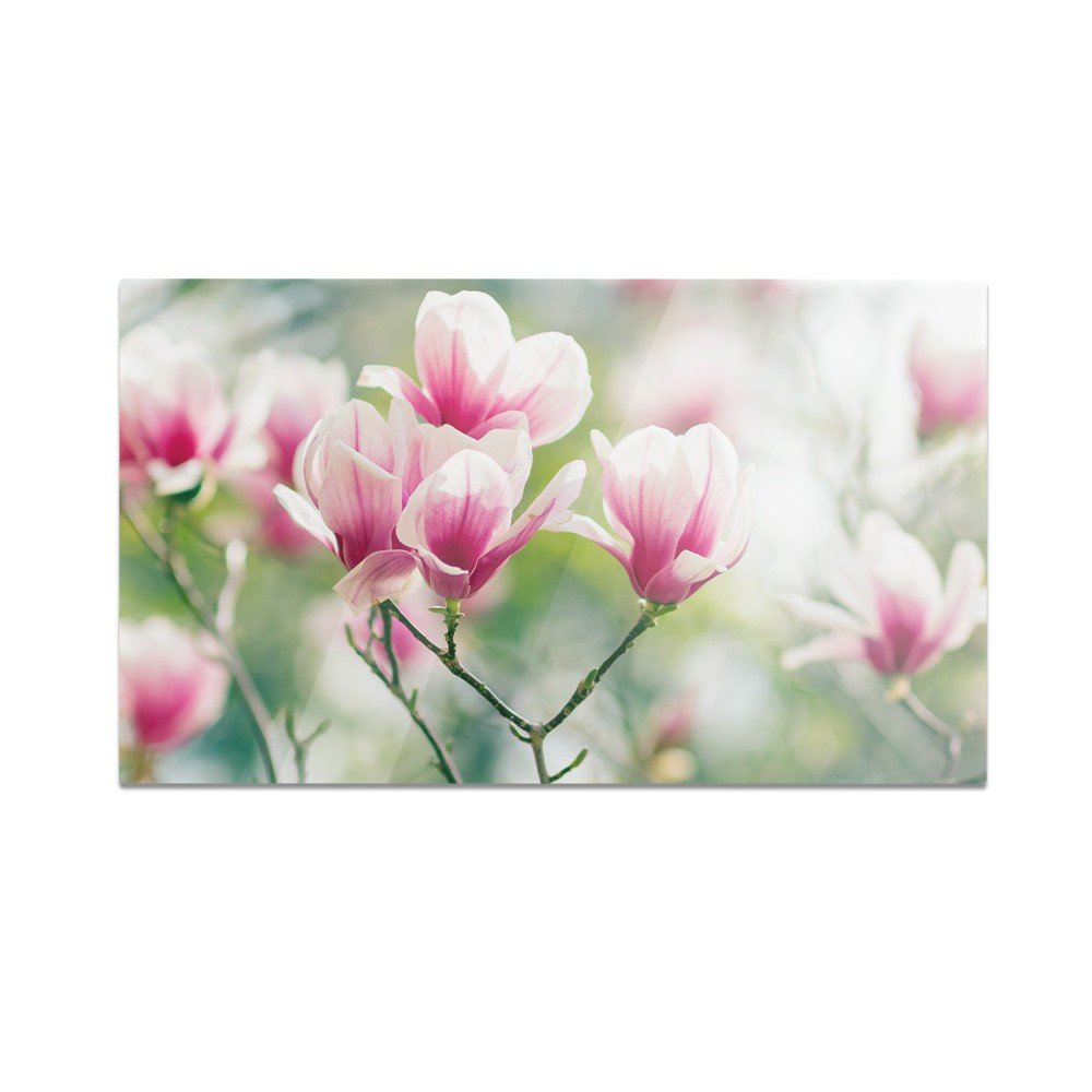 Szklana deska kuchenna HOMEPRINT Kwiaty magnolii 60x52 cm