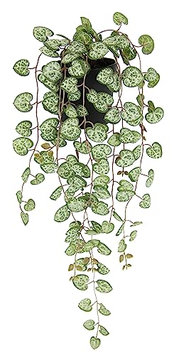 Sztuczna roślina świecznikowa, wisząca roślina, sztuczna roślina pokojowa, liść serca, wisiarka, girlanda z lampionami, dekoracja na doniczkę, roślina pnąca, sztuczne kwiaty