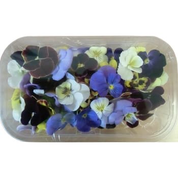 Kwiat jadalny bratek 10 g