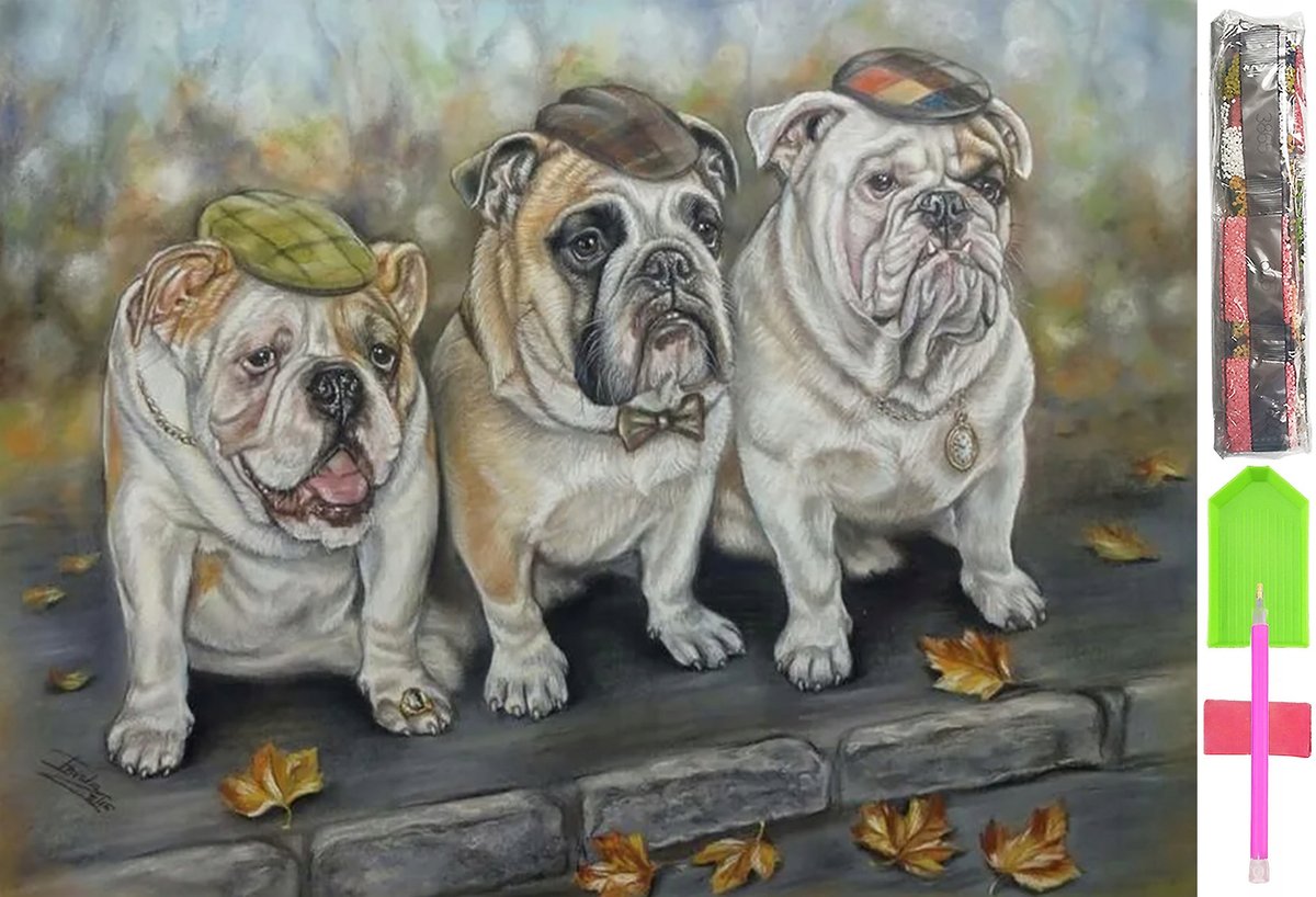 HAFT DIAMENTOWY 5D Zestaw Obraz MOZAIKA 40*60cm