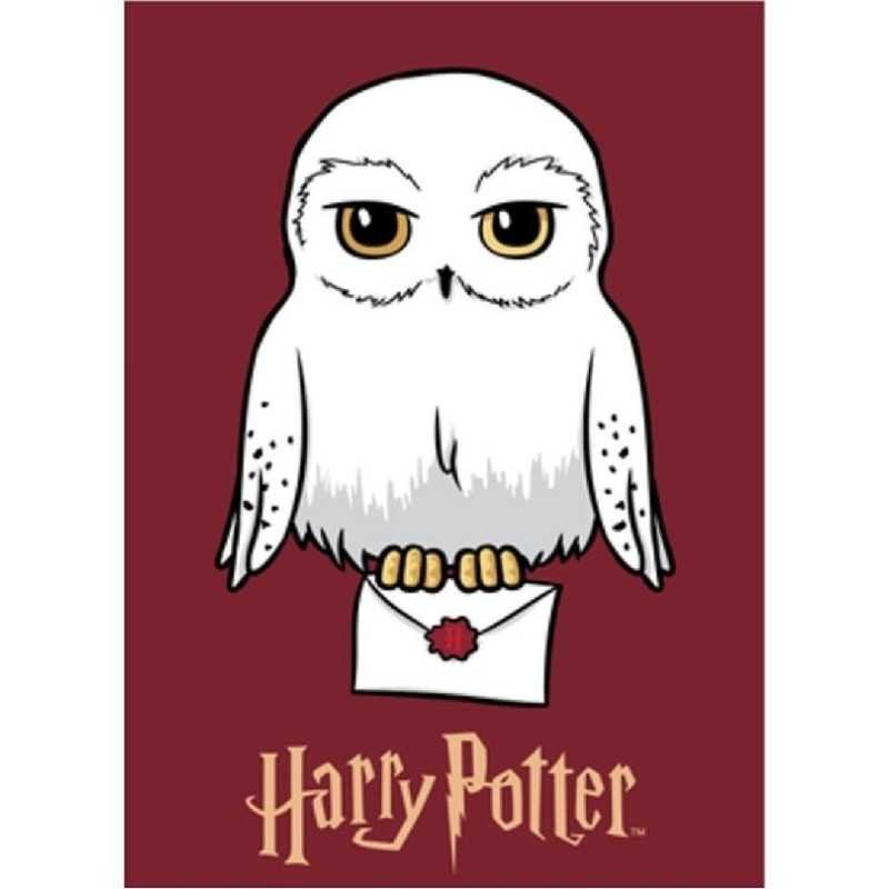 Koc Polarowy Polar 100X140Cm Harry Potter