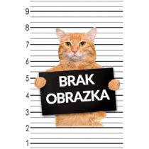 Wowka Miód perłowy z wiśnią 260 g