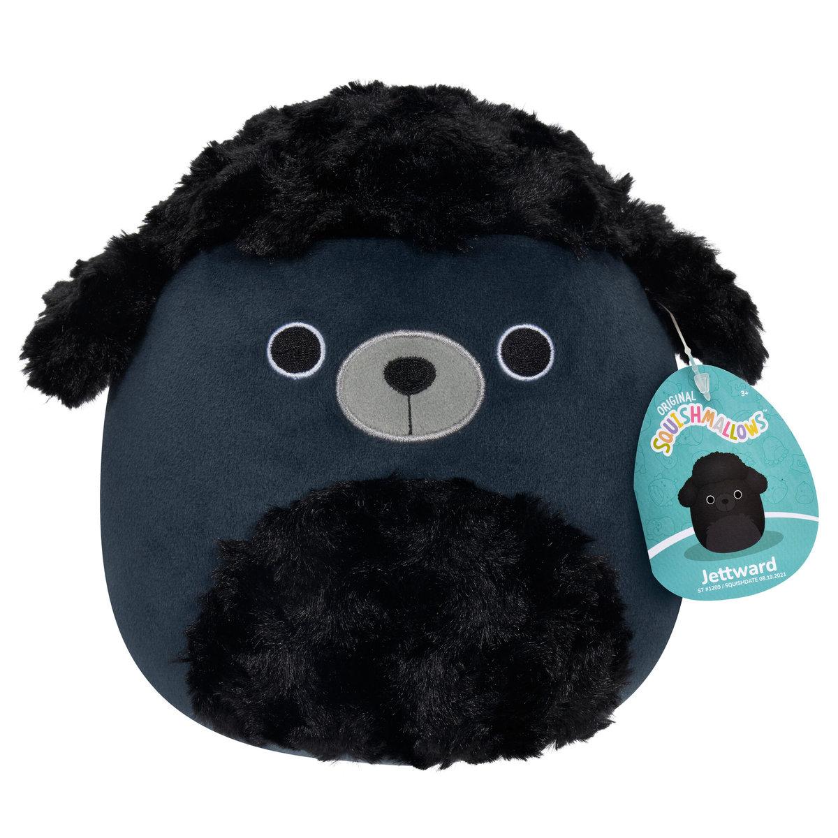 Squishmallows, mały pluszak, czarny pudel, Jettward, 7,5