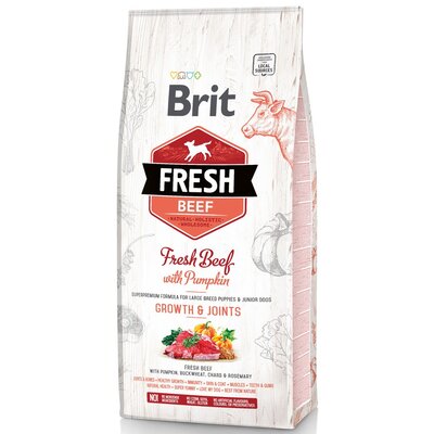Brit Fresh Beef with Pumpkin Puppy Large 2,5 kg
