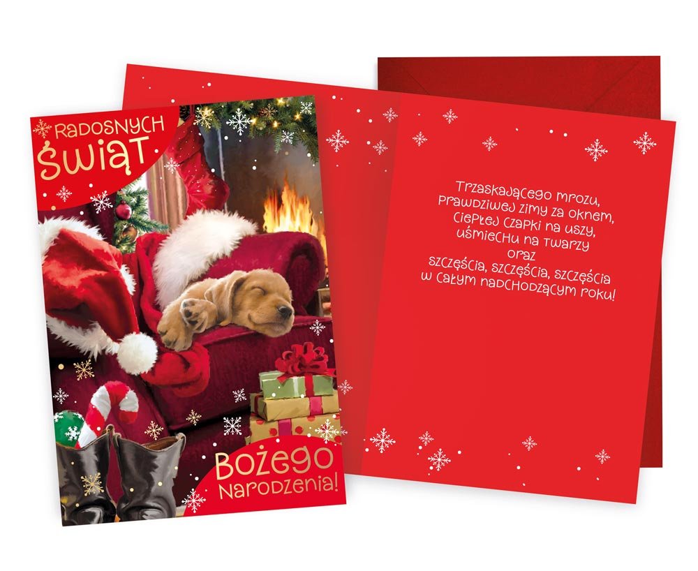 Karnet Passion Plus PP-2267 Boże Narodzenie, Format B6