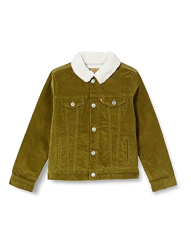 Levi's Kids Ciężarówka sztruksowa LVB, DREWNIK, 5 Lat