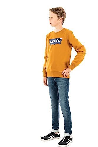 Levi's Kids Bluza chłopięca, Cathay Spice, 8 lat