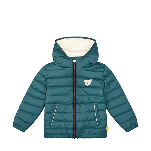 Steiff Boy's Year of The Teddybear Jasper, 122