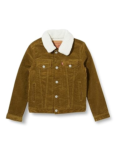 Levi's Kids Ciężarówka sztruksowa LVB, DREWNIK, 10 Lat