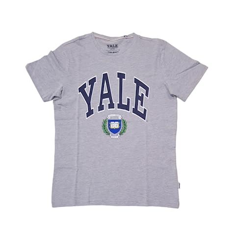 Blend T-shirt męski S/S, 200274/Stone Mix, S