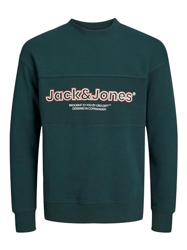 JACK&JONES JUNIOR Bluza chłopięca Jorlakewood Sweat Crew Neck Bf Jnr, Magiczny las/szczegóły: jj Print/Loose Fit, 140