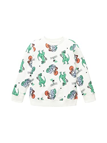 TOM TAILOR Chłopcy 1036043 bluza dziecięca, 32249-Dino Vacation Print, 104/110, 32249 - Dino Vacation Print, 104-110