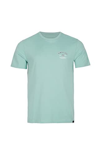 O'Neill Męski T-shirt z krótkimi rękawami, State Chest Artwork podkoszulek (2 sztuki), 16015 Aquifer, XXL-3XL