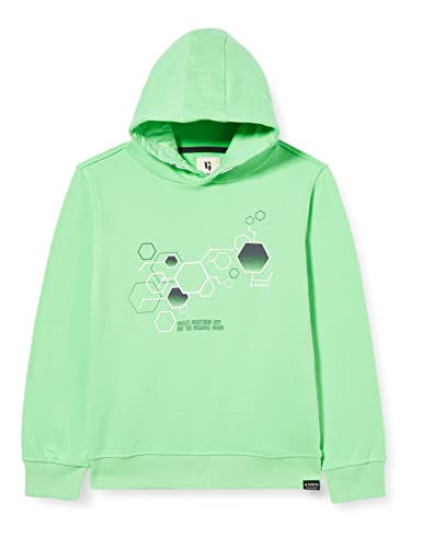 Garcia Kids Bluza chłopięca Green Lizzard, 176, Green Lizzard, 176