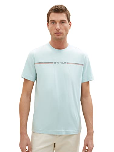 T-shirt męski TOM TAILOR z nadrukiem w paski i logo, 30463-zgaszony miętowy błękit, L