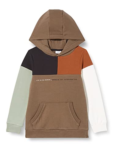 NAME IT Bluza chłopięca Nkmonskol Ls Sweat Wh Bru, Morel, 122-128