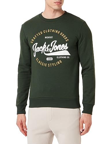 JACK & JONES Sweter męski Jjmikk Sweat Crew Neck, Mountain View/Print:big, L