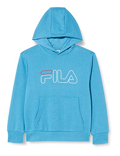 FILA Chłopięca bluza z kapturem, Cendre Blue, 158/164, cendre blue, 158-164