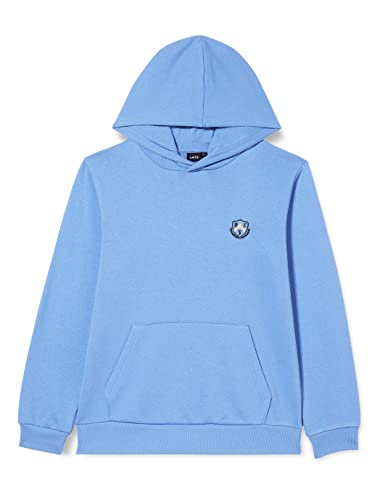 NAME IT Bluza chłopięca NLMHARV LS Sweat W. Hood Bluza, Peyote, 146 W / 152 L, peyote, 170-176