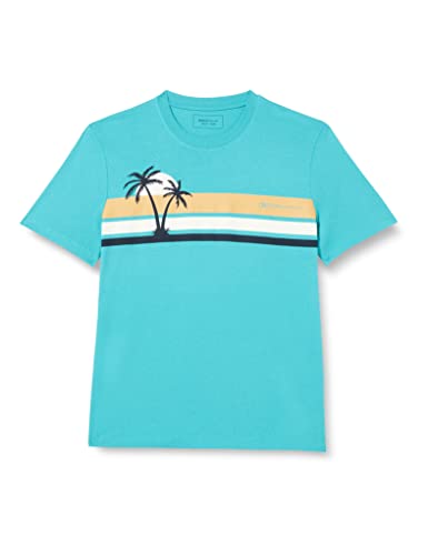 TOM TAILOR Denim Męski T-shirt z nadrukiem w paski, 31044 - Deep Turquoise, M